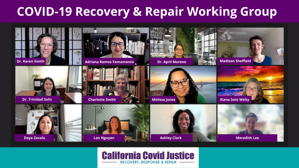Members of COVID-19 Recovery and Repair Working Group